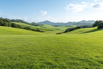 Fototapeta premium A peaceful green landscape with rolling hills and vibrant grass under a clear blue sky