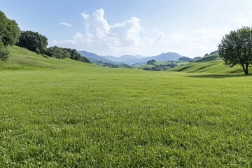 Obraz premium A stunning green landscape with rolling hills and lush grass beneath a bright blue sky