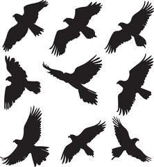Obraz premium Black Eagle Silhouettes in Flight, Vector Illustration, Wildlife Art