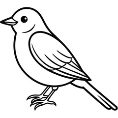 Elegant Bluebird Line Art Illustration Isolated on White Background