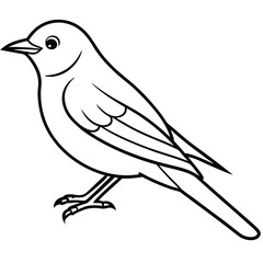 Simple Bluebird Line Art Illustration Isolated White Background