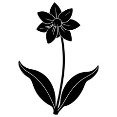 black and white flowers