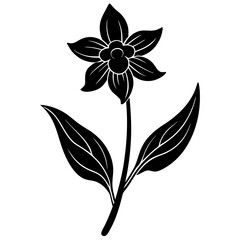 black and white flowers