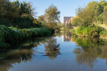 Fototapeta premium Anderlecht, Brussels Capital Region, Belgium - 10 17 2021: The Erasmus gardens, with the green surroundings reflecting in the water pond
