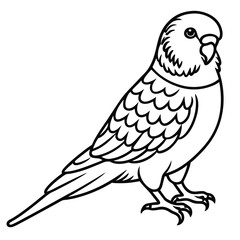 Obraz premium Elegant Budgerigar Line Art Illustration Isolated White Background