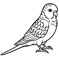 Obraz premium Line Art Budgerigar Illustration Isolated Bird Design