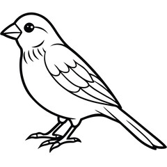 Cute Canary Line Art Illustration Isolated White Background