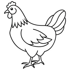 Fototapeta premium Simple Chicken Line Art Illustration Isolated White Background