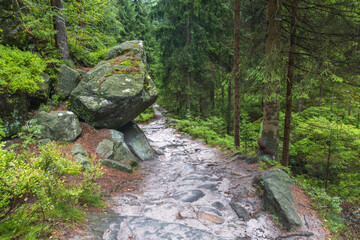 Fototapeta premium Landscape of Adrspach-Teplice Rocks area, in Hradec Kralove Region in the Czech Republic, Europe. Forest path with mossy rocks and lush greenery, providing an adventurous hiking trail experience.