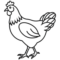 Simple Line Art Chicken Illustration Isolated White Background