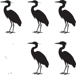 Heron Silhouette SVG – Elegant Bird Vector for Nature Designs

Flying Heron Clipart – Wildlife SVG for Crafts & Prints

Wading Bird Vector – Heron Design for Nature & Bird Lovers

Heron Standing SVG –