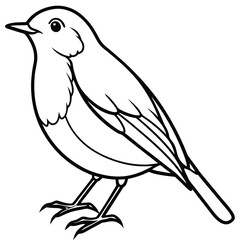 European Robin Line Art Elegant Bird Illustration for Backgrounds
