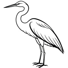 Elegant Heron Line Art Illustration Isolated White Background