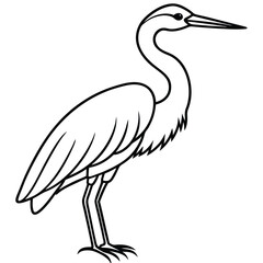 Elegant Heron Line Art Illustration Isolated White Background