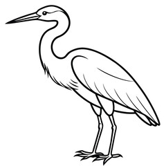 Elegant Heron Line Art Illustration Isolated White Background