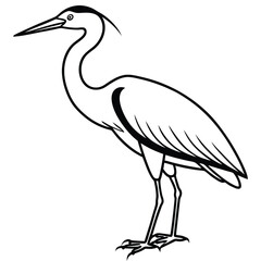 Elegant Heron Line Art Illustration Isolated White Background