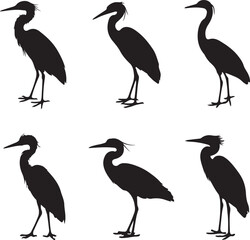 Heron Silhouette SVG – Elegant Bird Vector for Nature Designs

Flying Heron Clipart – Wildlife SVG for Crafts & Prints

Wading Bird Vector – Heron Design for Nature & Bird Lovers

Heron Standing SVG –