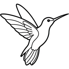 Fototapeta premium Elegant Hummingbird Line Art Isolated White Background Illustration