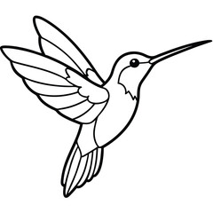 Elegant Hummingbird Line Art Isolated White Background Illustration
