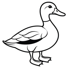 Mallard Duck Line Art Clean Simple Vector Illustration