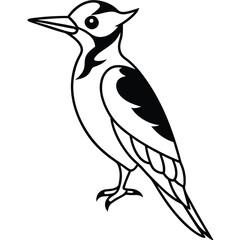 Line Art Woodpecker Illustration Isolated White Background