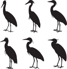 Heron Silhouette SVG – Elegant Bird Vector for Nature Designs

Flying Heron Clipart – Wildlife SVG for Crafts & Prints

Wading Bird Vector – Heron Design for Nature & Bird Lovers

Heron Standing SVG –