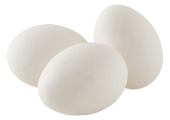 Fresh duck Eggs cut out isolated transparent background