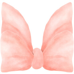 baby feet isolated on white background