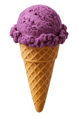 Blueberry ice cream delight transparent dessert fare sweet meal kitchen environment