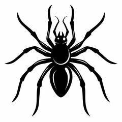 Black Spider Fly Silhouette vector black on white background