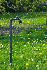 
A metal Watering Crane stands in the middle of a vegetable garden of a park garden. No hose and no...