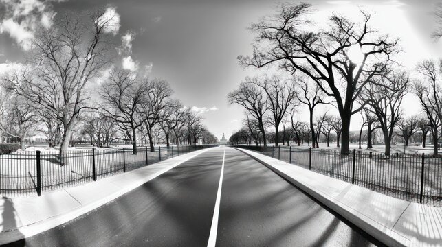 Fototapeta Monochrome Majesty: A Washington D.C. Avenue