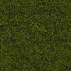 Photoreal Seamless Moss Floor Texture Top View Green Natural Detail