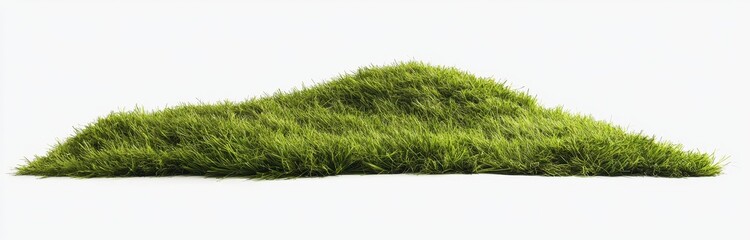 Lush green grass mound isolated on white