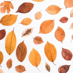 autumn leaves background