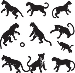 Black Panther Silhouettes: Vector Art Collection of Big Cats in Various Poses