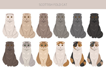 Scottish Fold Cat clipart. All coat colors set.  All cat breeds characteristics infographic. Vector illustration