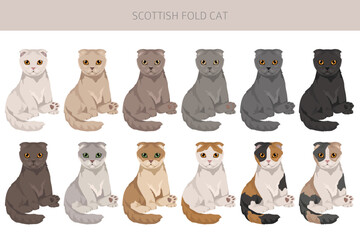 Scottish Fold Cat clipart. All coat colors set.  All cat breeds characteristics infographic. Vector illustration
