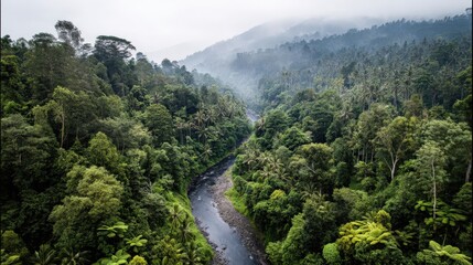 view from the top of the mountain