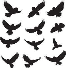Obraz premium Silhouette Collection: Flying Owls in Various Poses, Black and White Vector Art