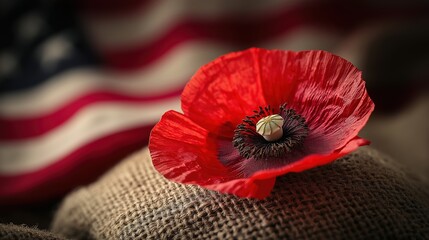 A red poppy on a soldier's helmet, symbolizing remembrance and sacrifice on Memorial Day.