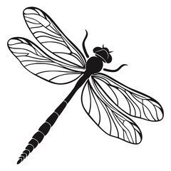 dragonfly vector illustration