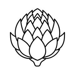 vector illustration of  artichoke