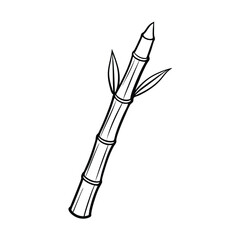 bamboo shoot on a white background