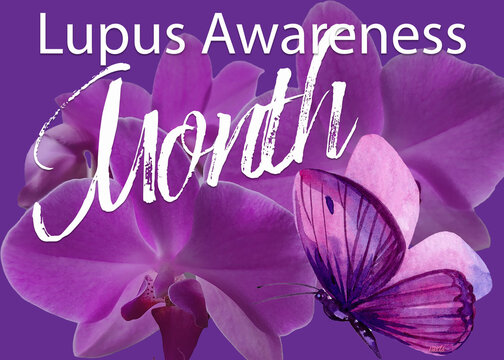 lupus awareness celebration montn