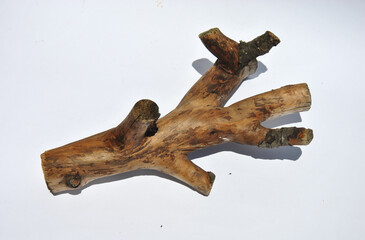 dry sanded branch on a light background