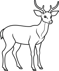 hand drawn deer outline illustration 