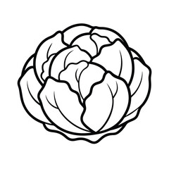 vector illustration of brussels sprouts