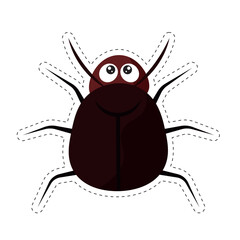 Cartoon cockroach top view. Vector