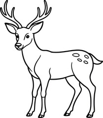 hand drawn deer outline illustration 